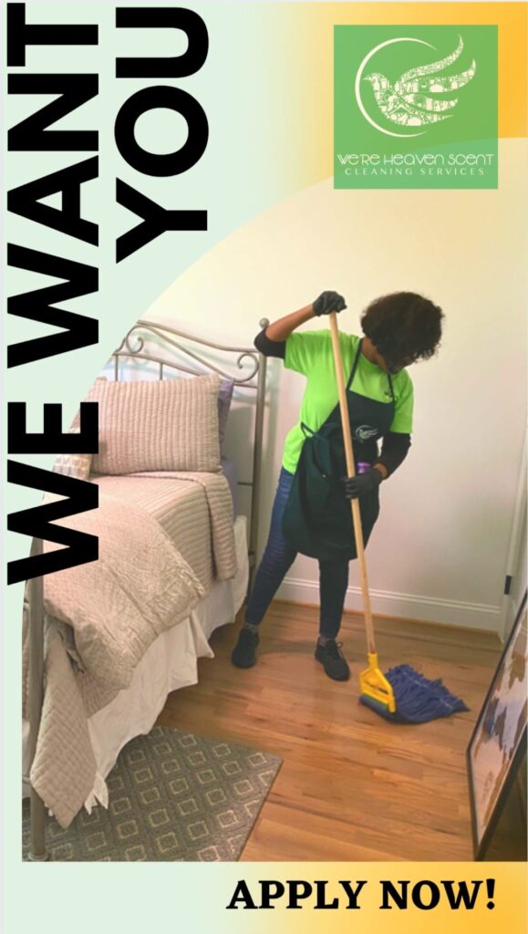 Professional Cleaners Atlanta
